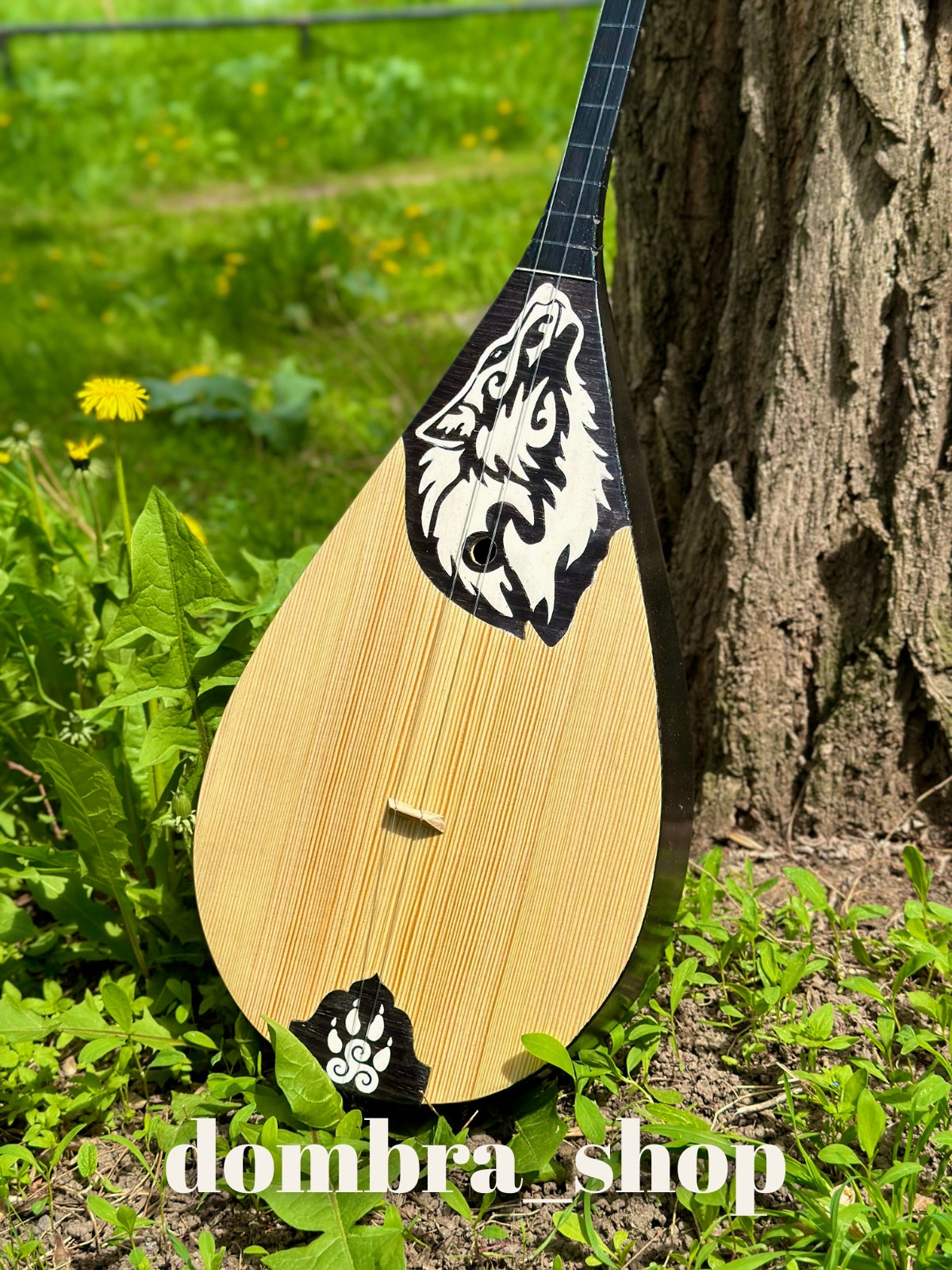 Kurt desenli konser dombra Rus bereza ağacı - profesyonel Kazak dombrası